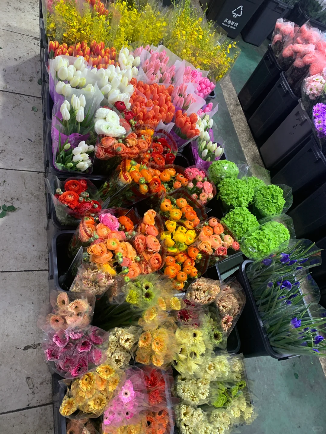 ?南坪会展花市攻略｜花花世界里的宝藏地！