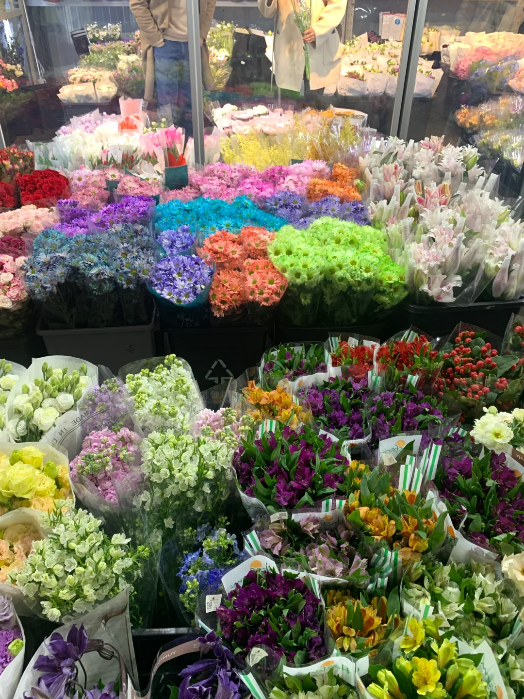 ?南坪会展花市攻略｜花花世界里的宝藏地！