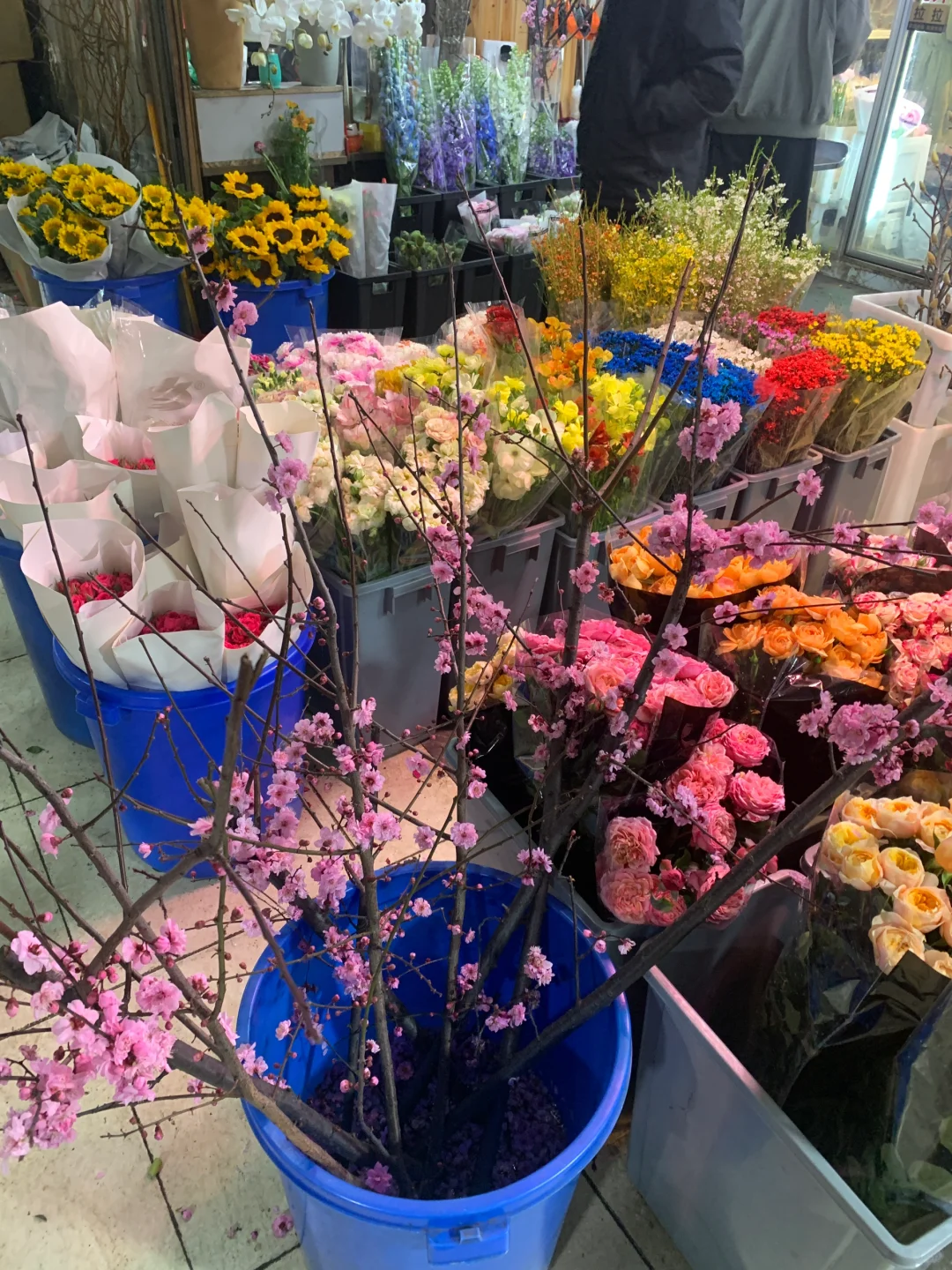 ?南坪会展花市攻略｜花花世界里的宝藏地！