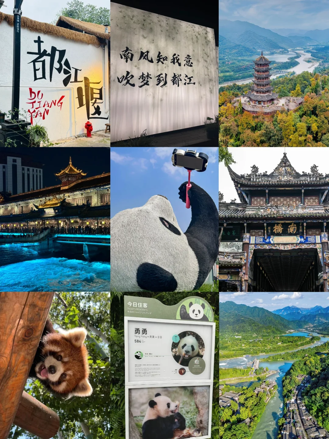 土著教你都江堰超详细旅游攻略✨附网红景点