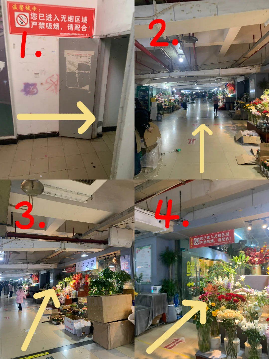 ?南坪会展花市攻略｜花花世界里的宝藏地！