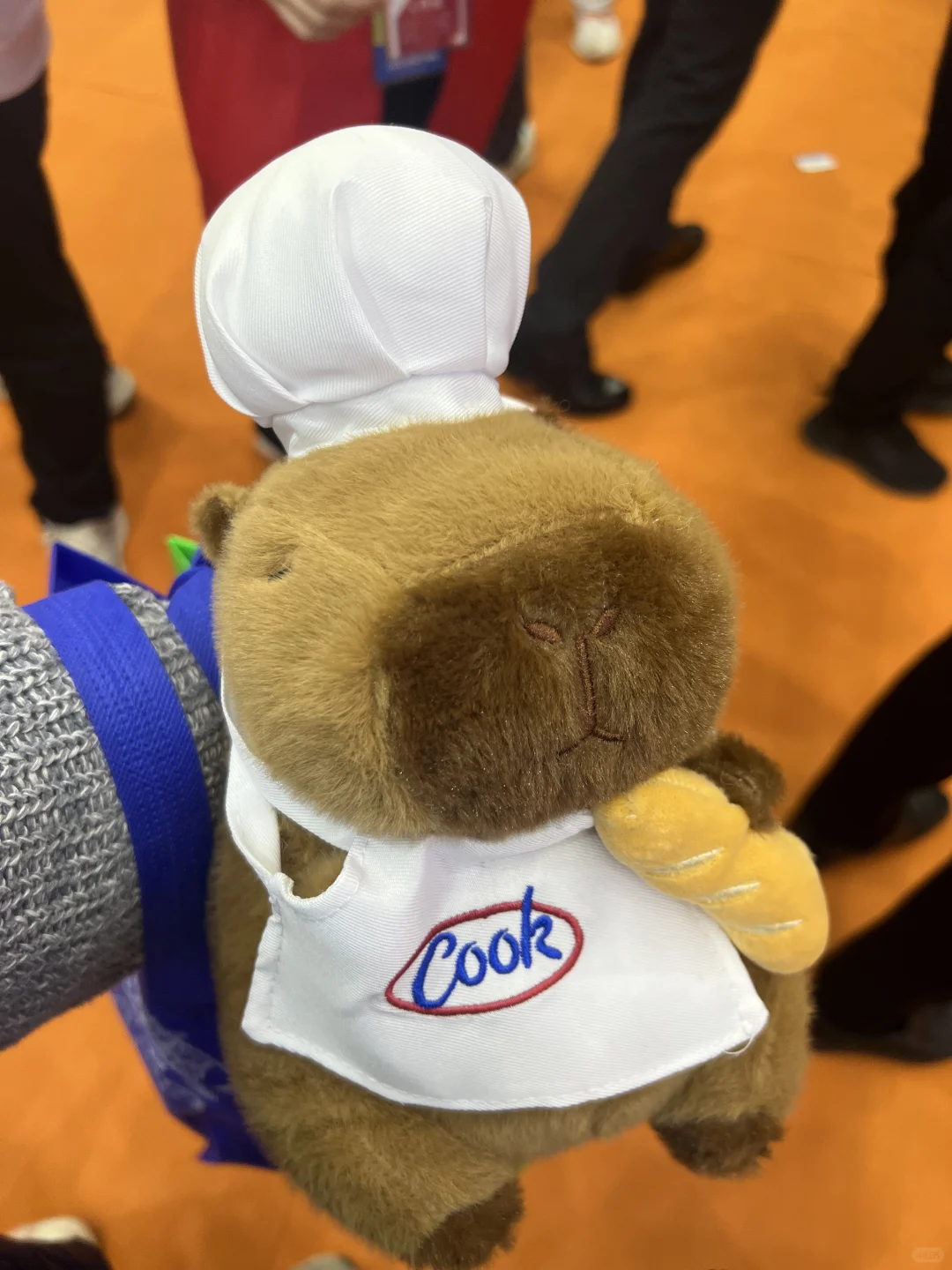 一定要去看的展！雨果跨境电商