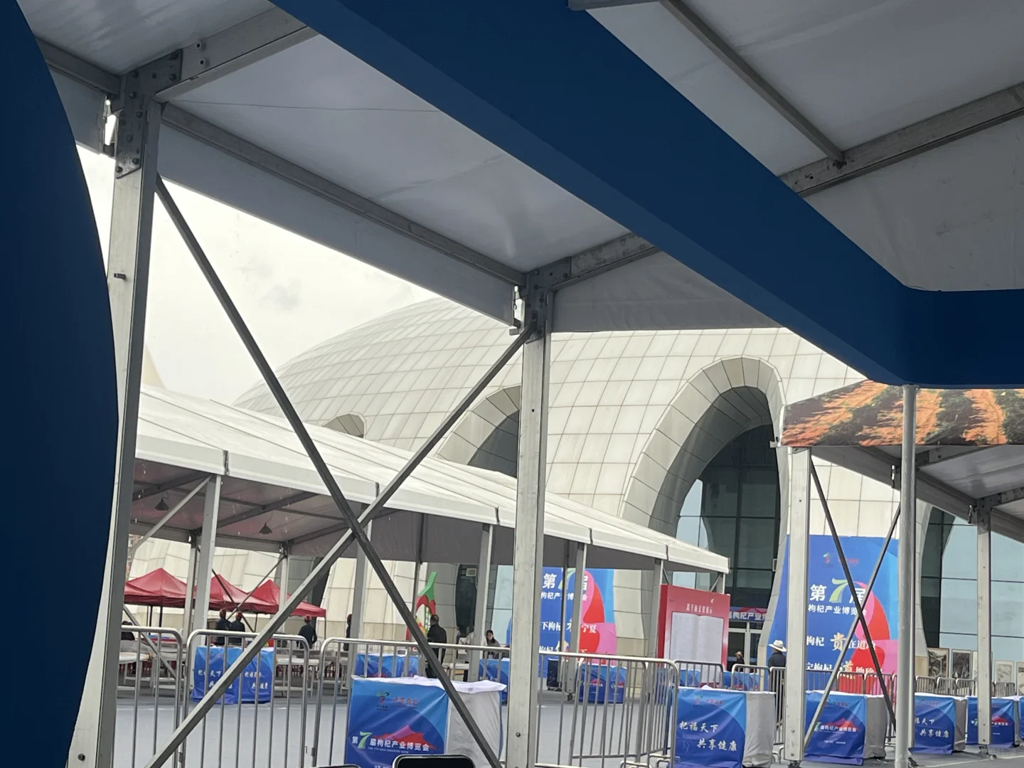 两眼一睁就是卖枸杞