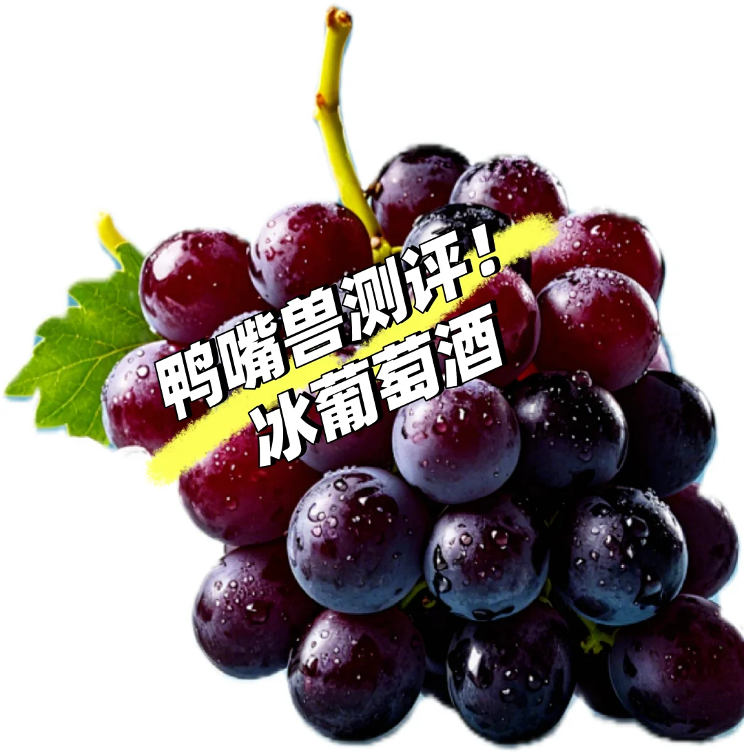 爆款推荐:冰葡萄酒