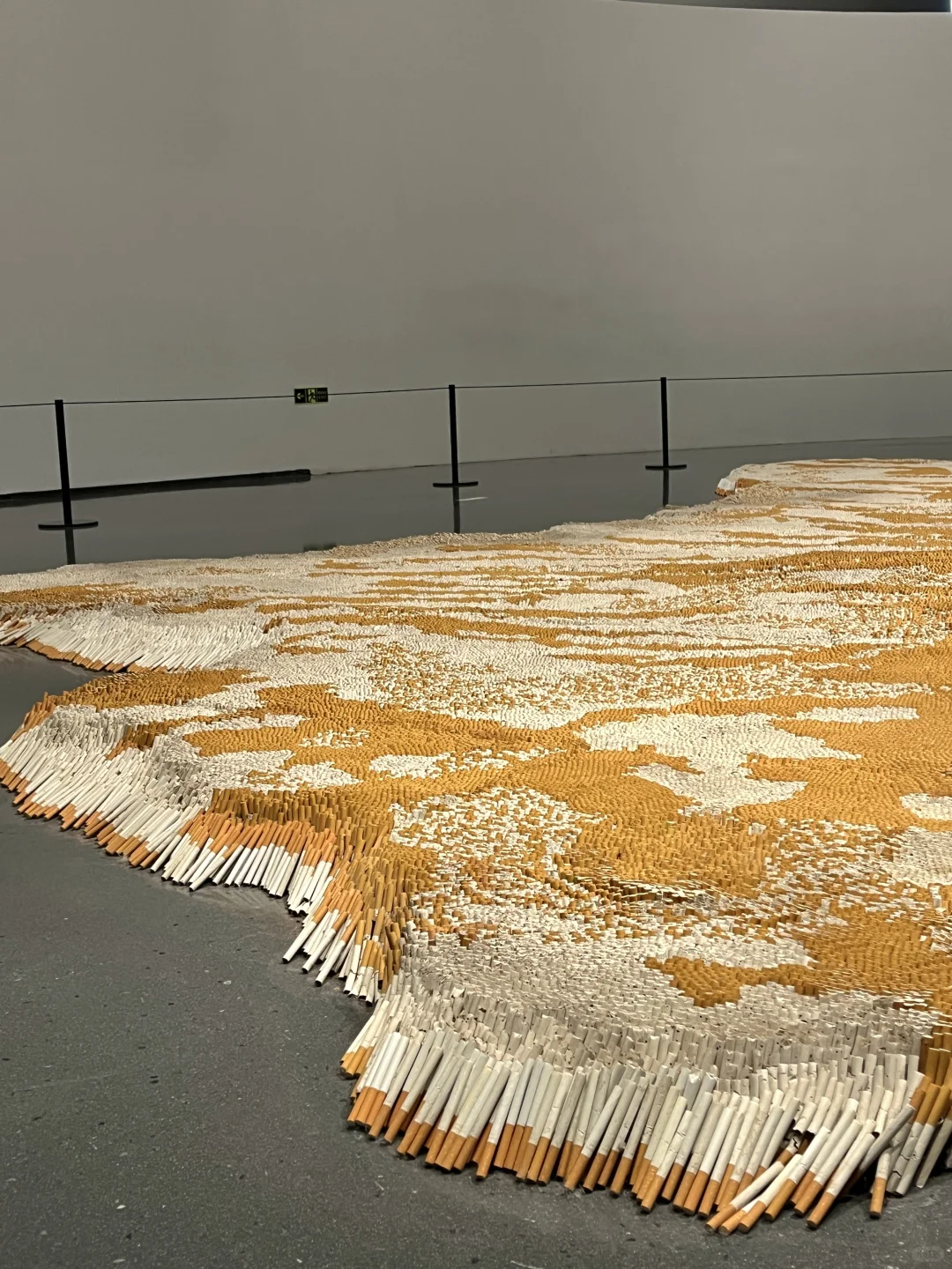 成都新展！近十万根香烟！！！好震撼……