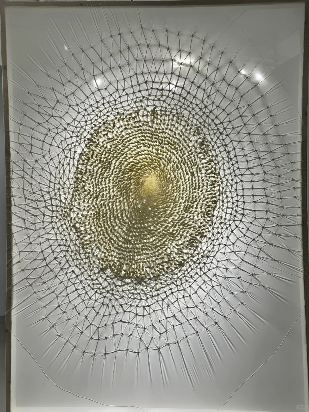 上海免费新展，一个梦核的蓝色宇宙???