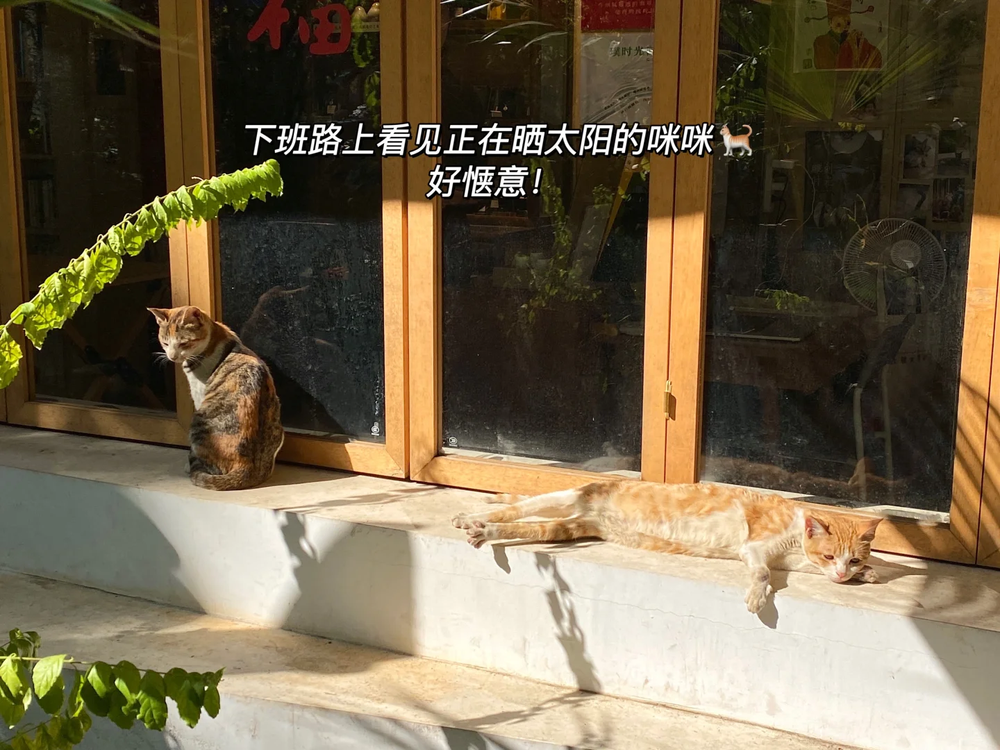 兼职｜琶洲展馆兼职540?