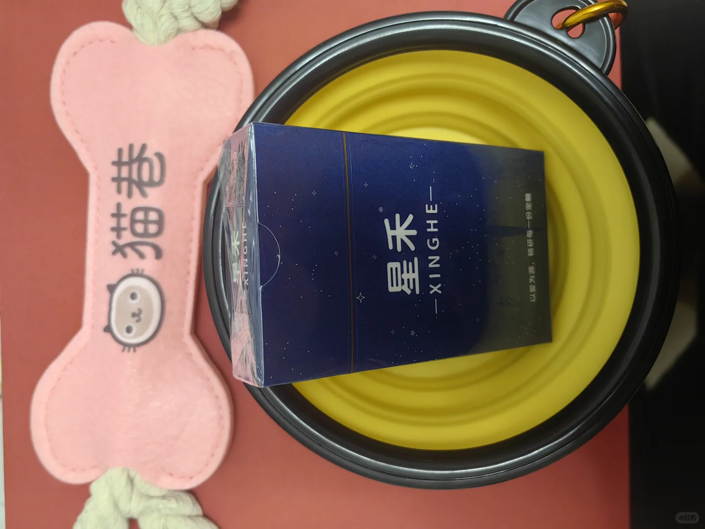 京宠展，宠粉“薅”天堂?第一天