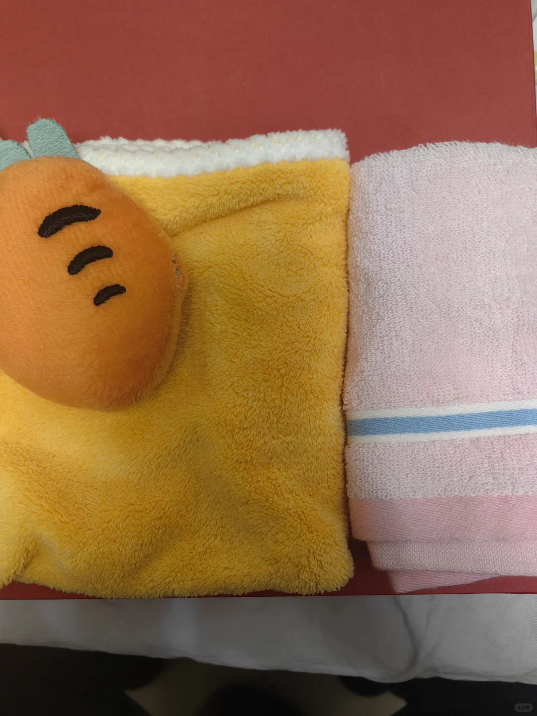 京宠展，宠粉“薅”天堂?第一天