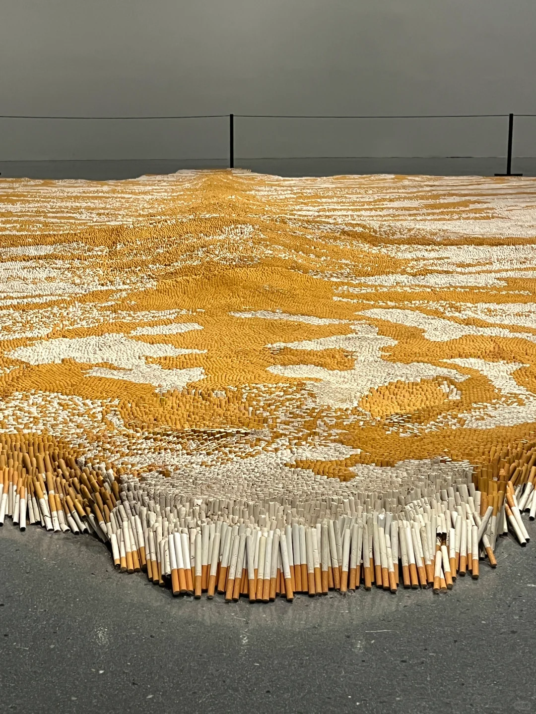 成都新展！近十万根香烟！！！好震撼……