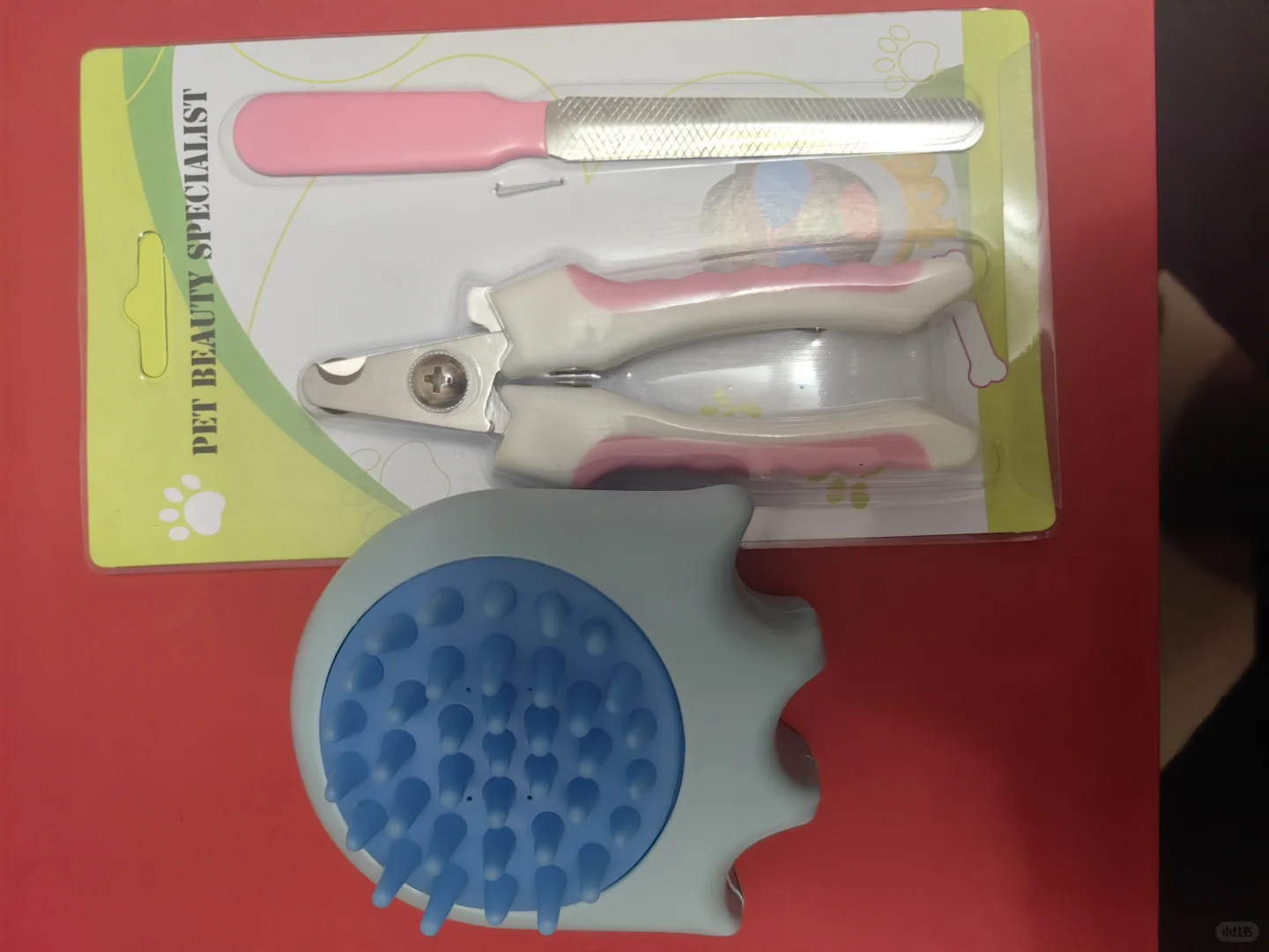 京宠展，宠粉“薅”天堂?第一天