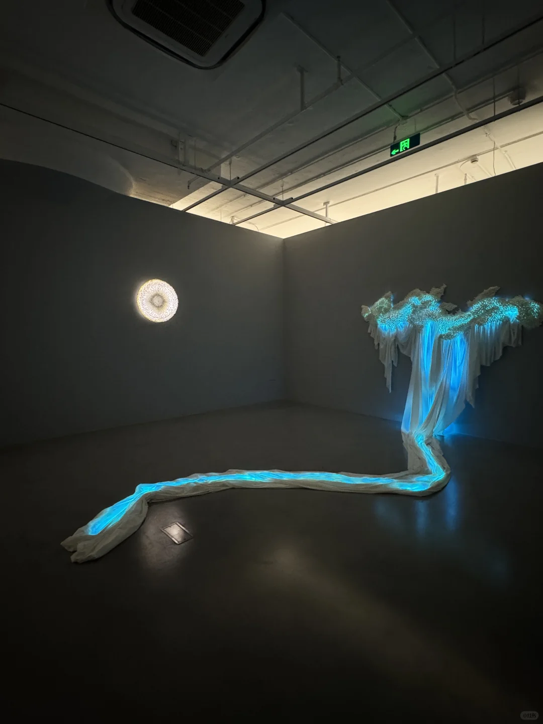 上海免费新展，一个梦核的蓝色宇宙???