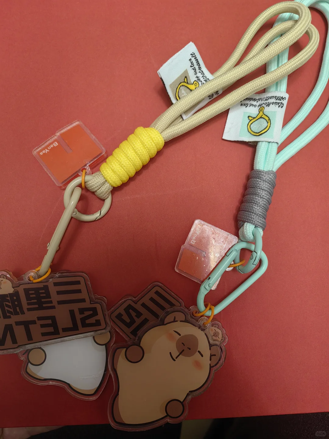 京宠展，宠粉“薅”天堂?第一天