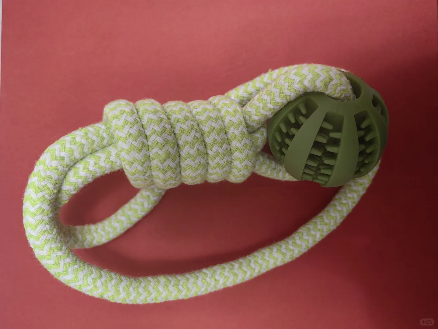 京宠展，宠粉“薅”天堂?第一天