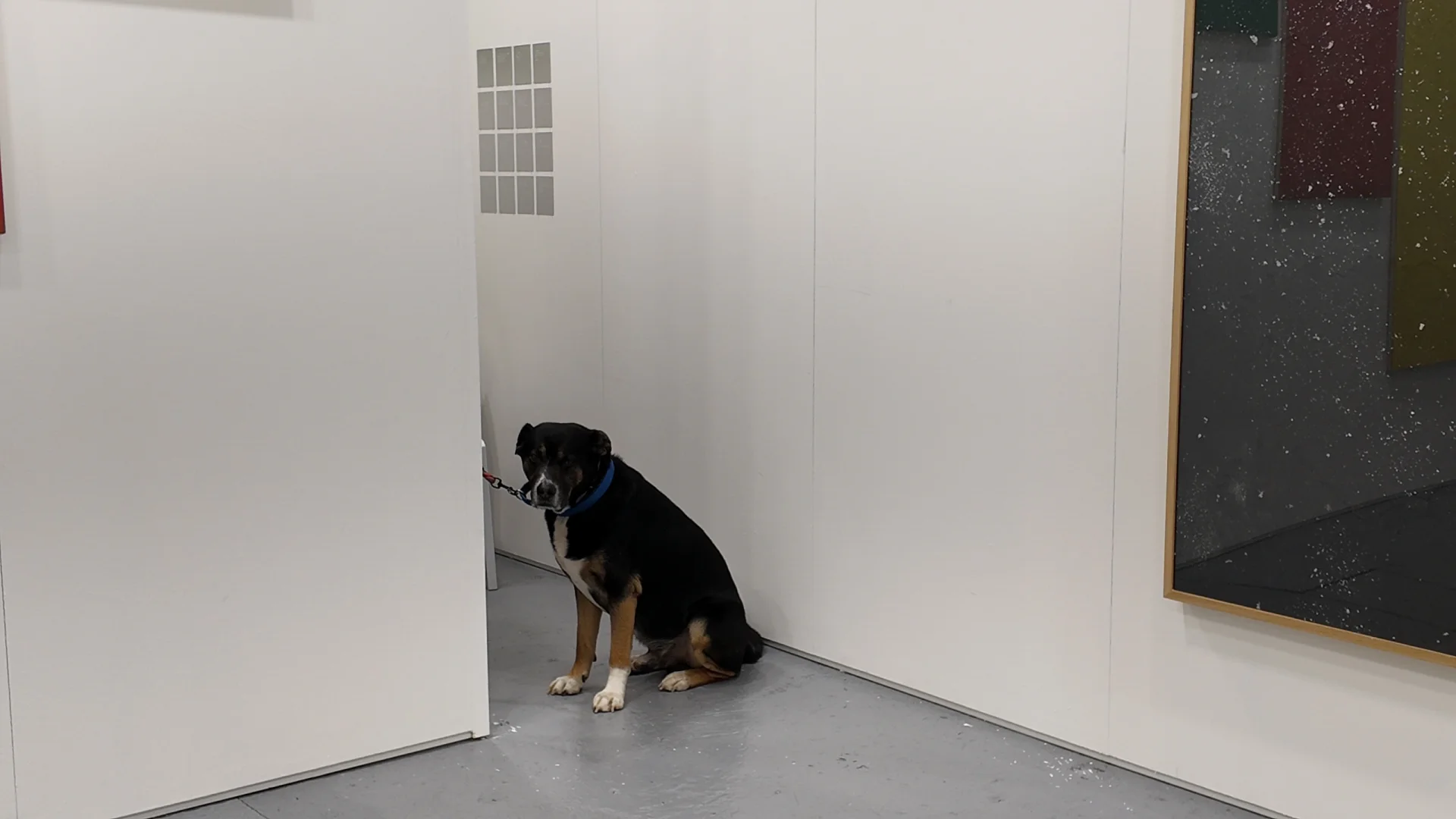 Arte Fiera 意大利艺术博览会2025