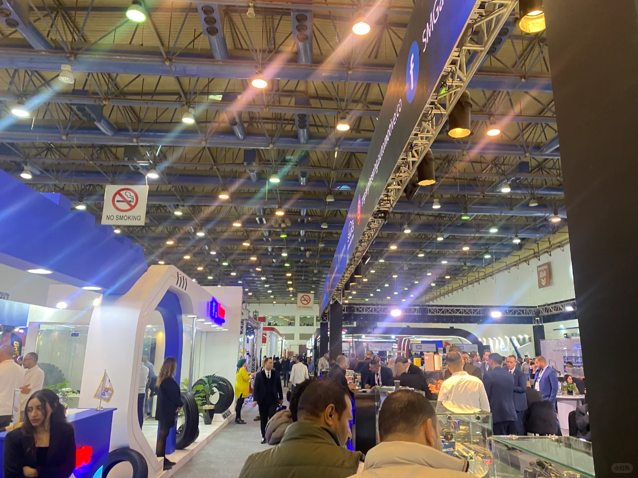 文明的开创者——埃及