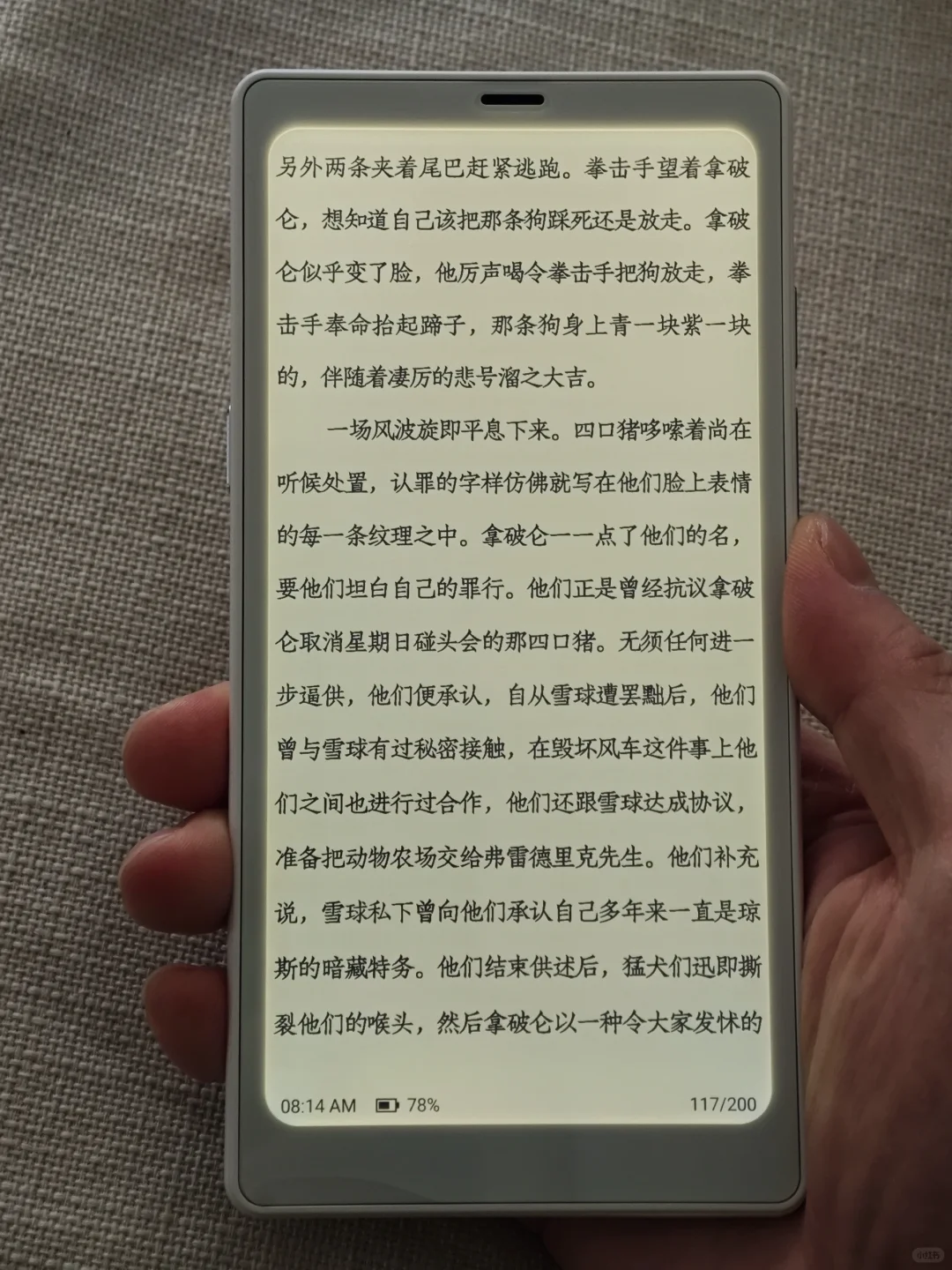十年KINDLE老用户转投文石P6小白马个人分享