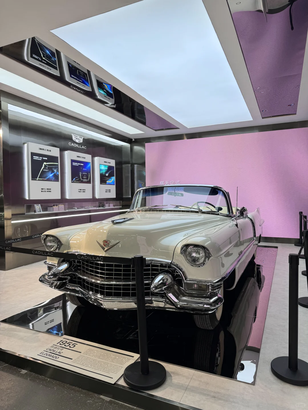 2025上海新国际眼镜展SIOF