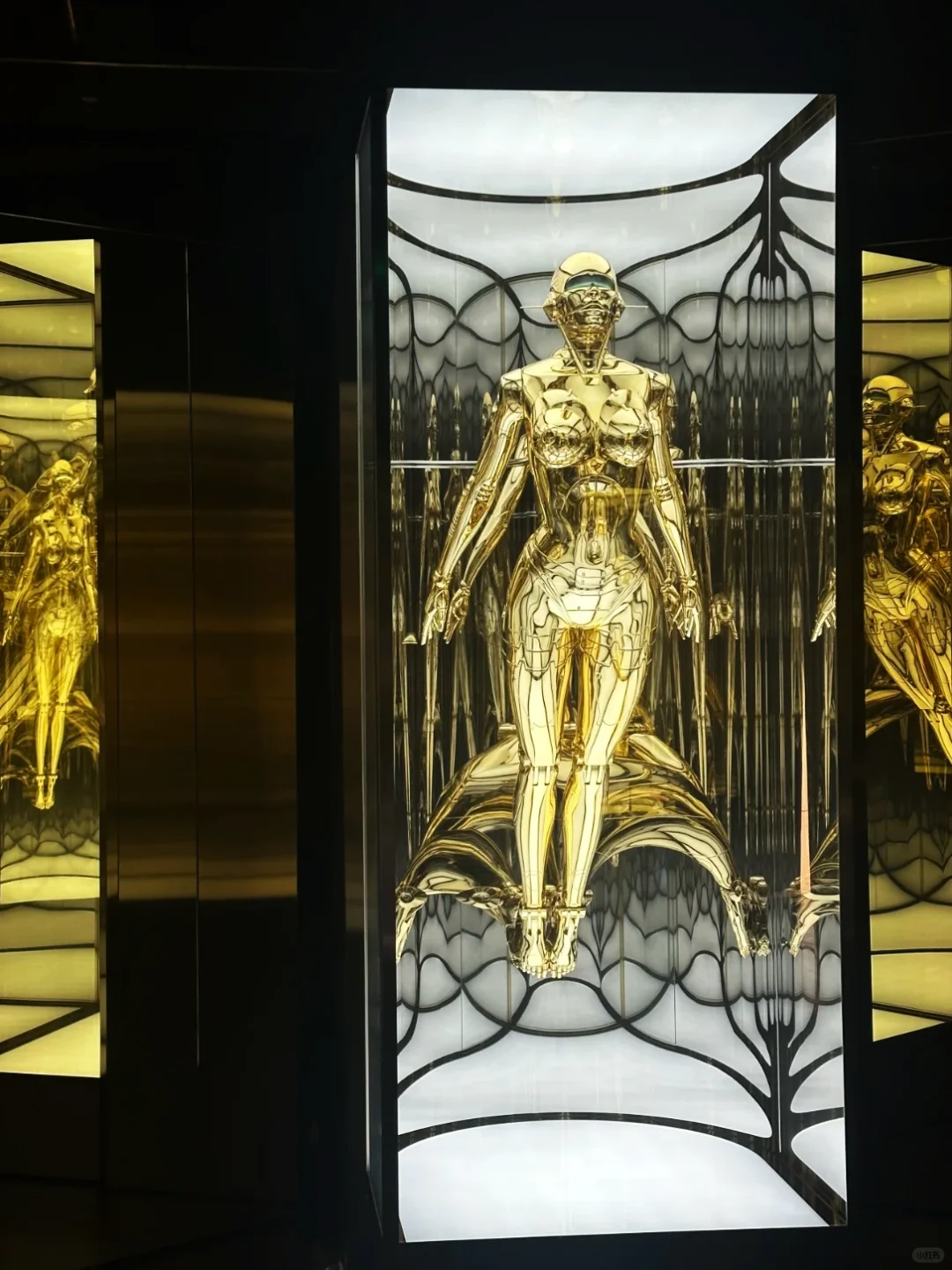 啊啊啊啊啊!!来看空山基一定要注意……