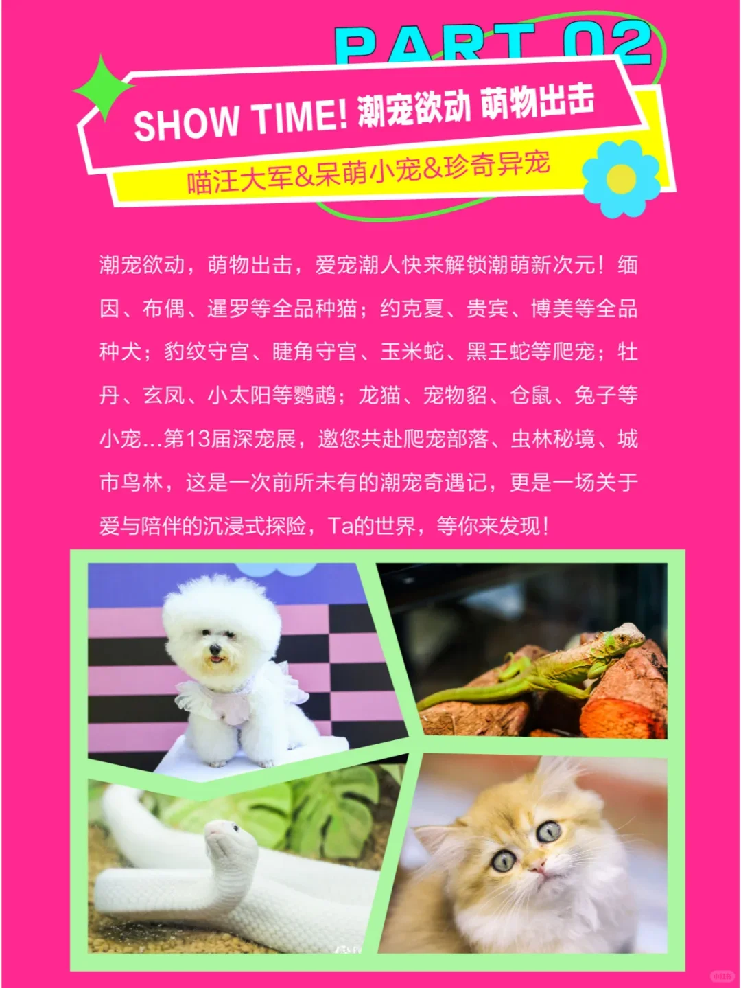 ?3️⃣月深宠展别错过‼️|?免费掉落