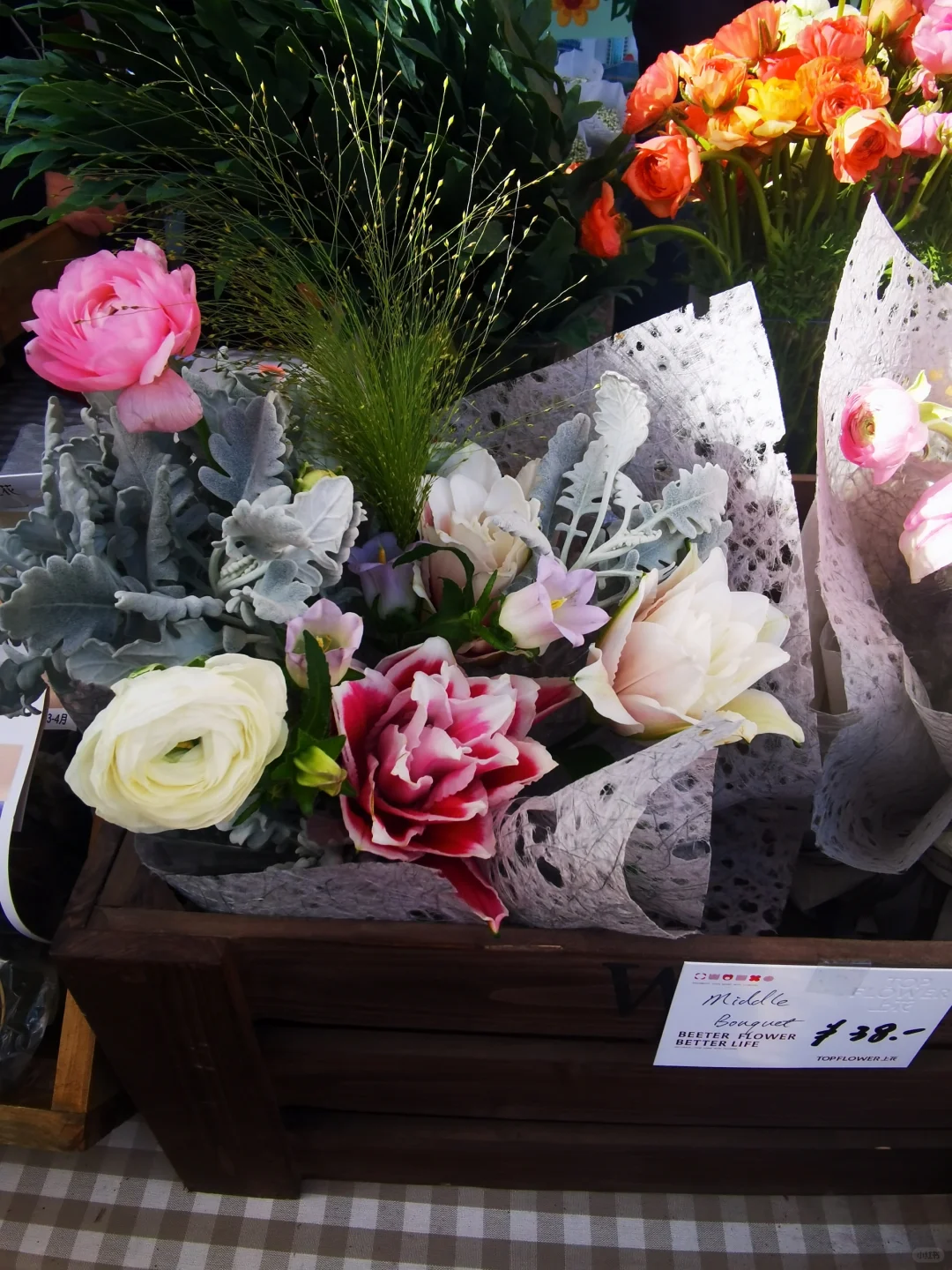 秋天与种球邂逅 期待Spring......