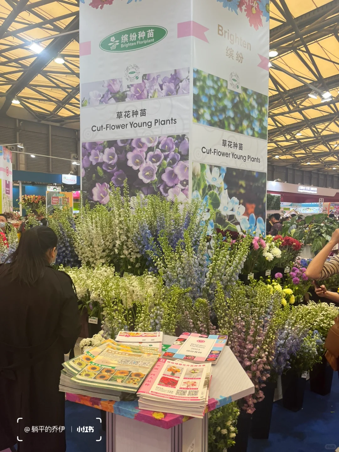 ?免费看展｜上海国际花卉园艺展打卡?