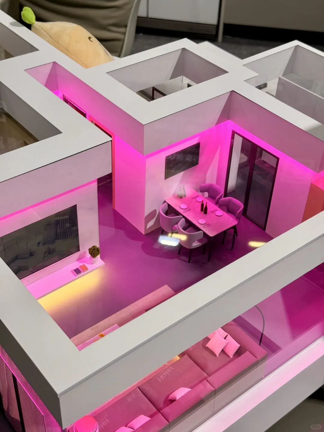 在珠海！过上了普通人里最好的生活！