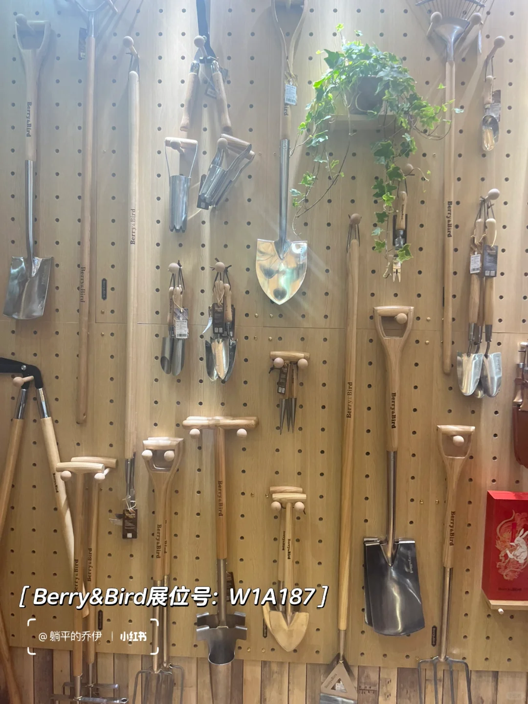 ?免费看展｜上海国际花卉园艺展打卡?