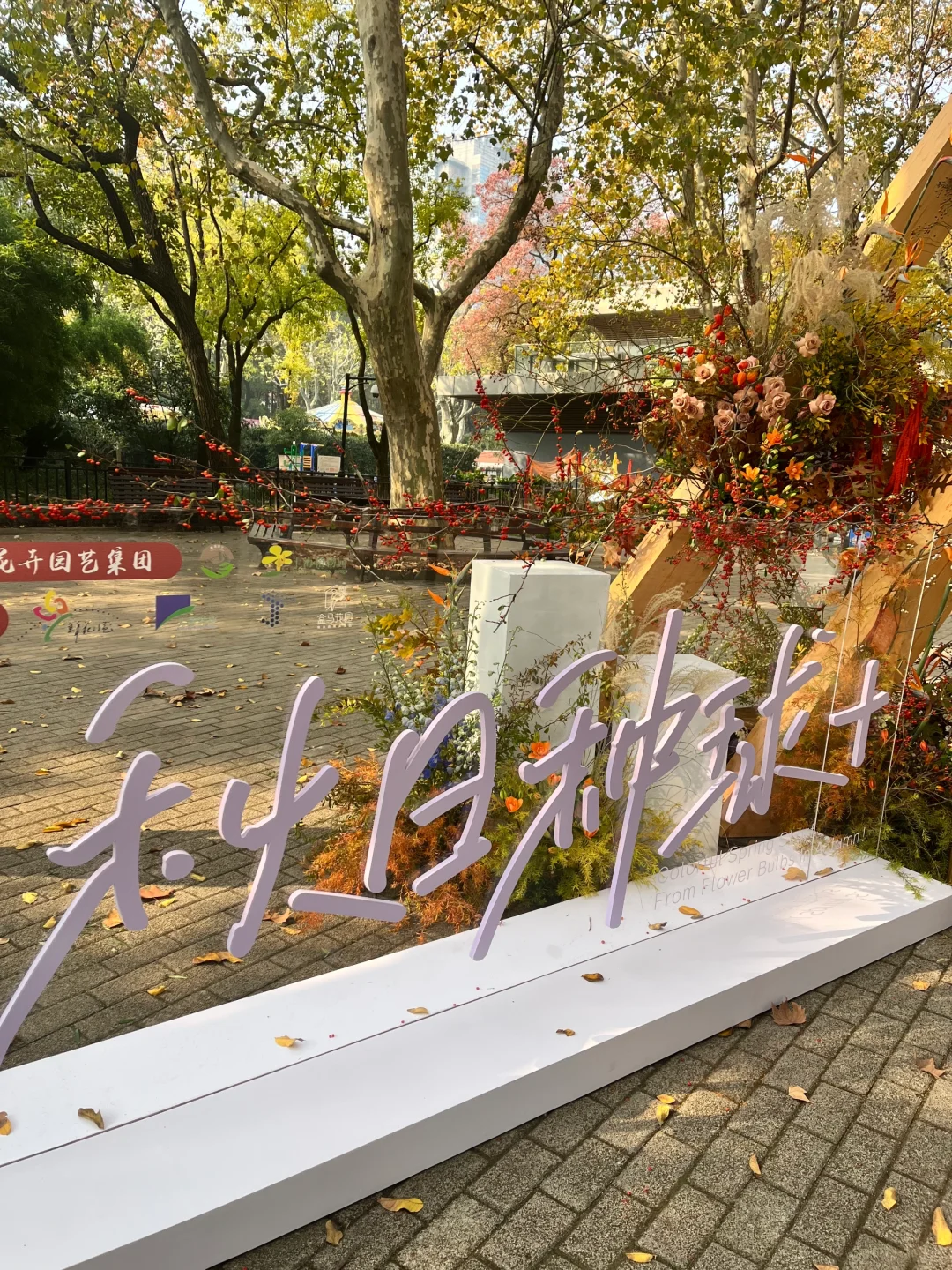 秋天与种球邂逅 期待Spring......