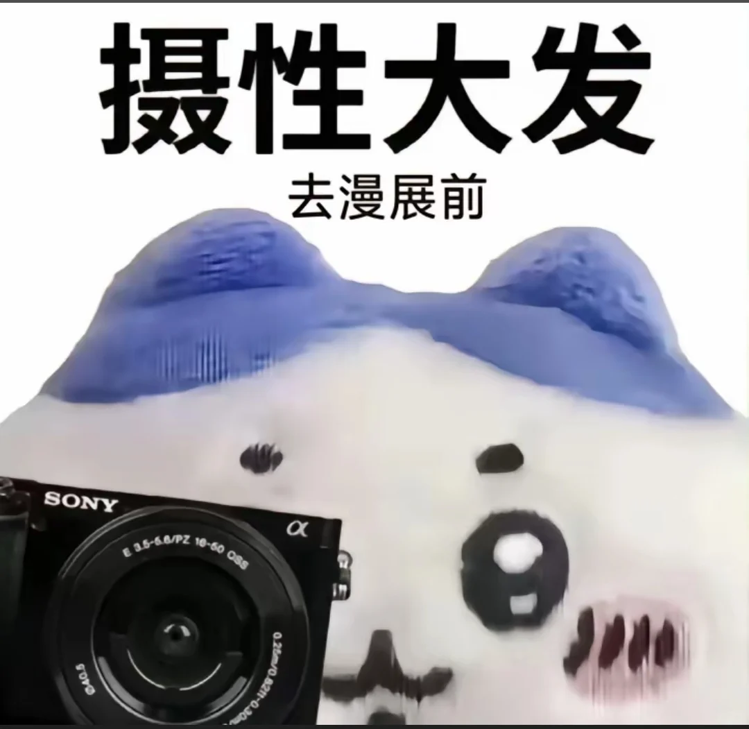 捞捞2.7/8去金陵文化博览会的coser老师