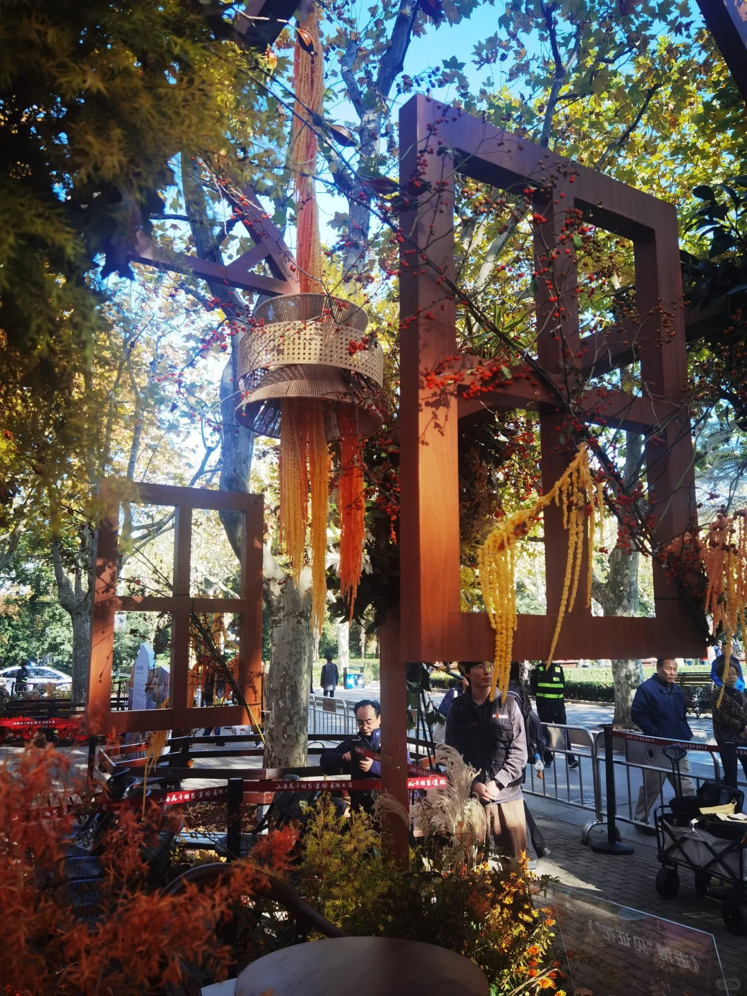 秋天与种球邂逅 期待Spring......