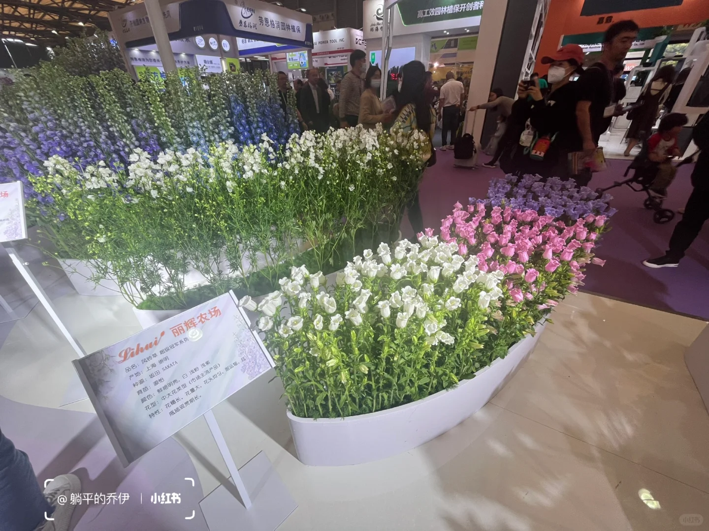 ?免费看展｜上海国际花卉园艺展打卡?