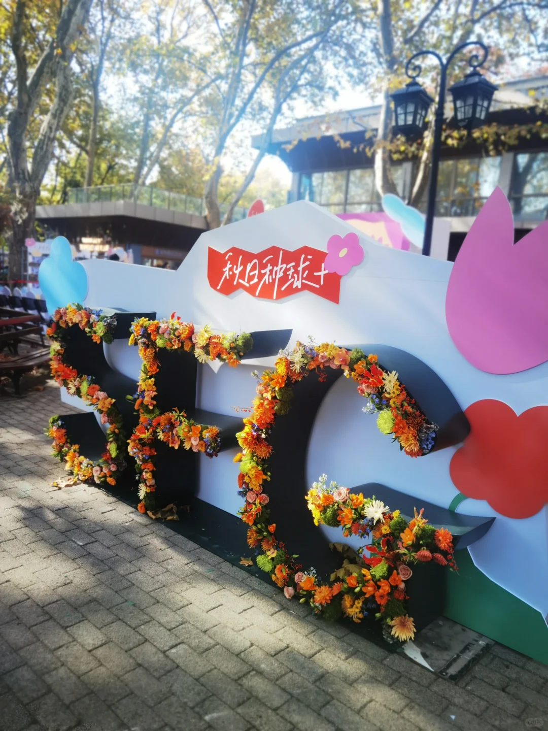 秋天与种球邂逅 期待Spring......