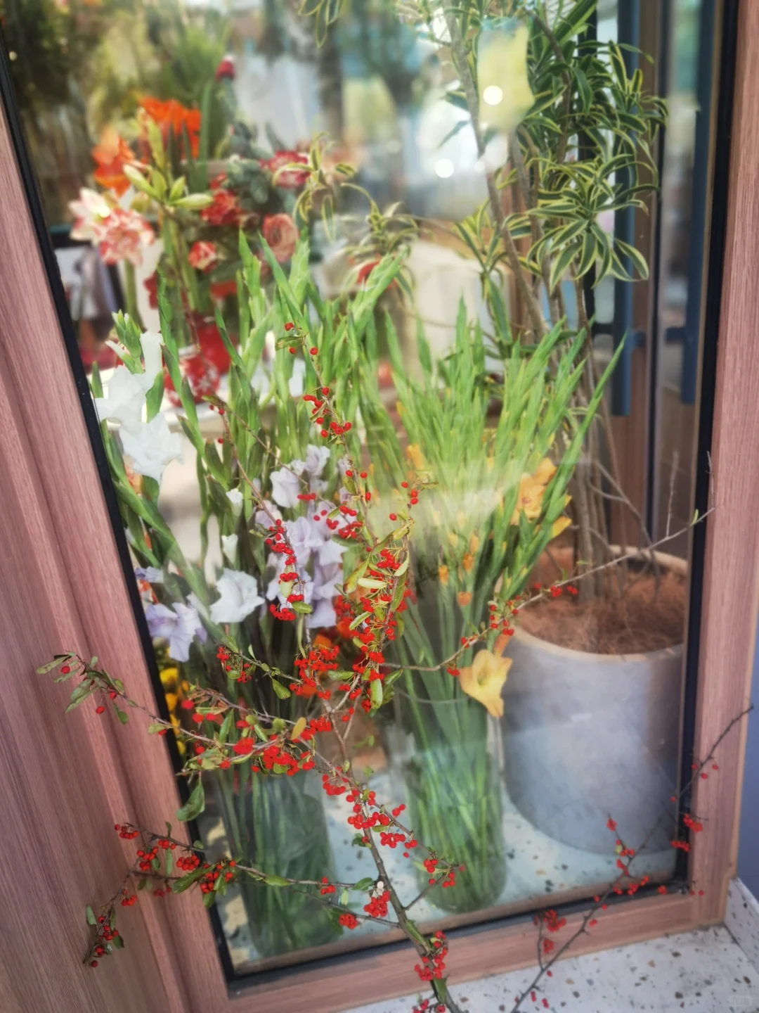 秋天与种球邂逅 期待Spring......