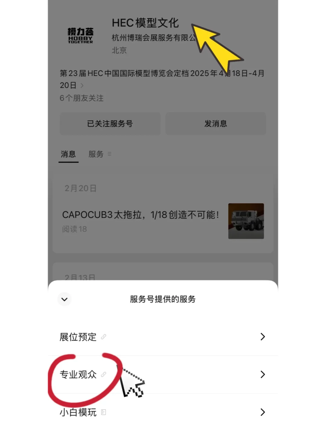 ⚠️专业观众购票通道已开启