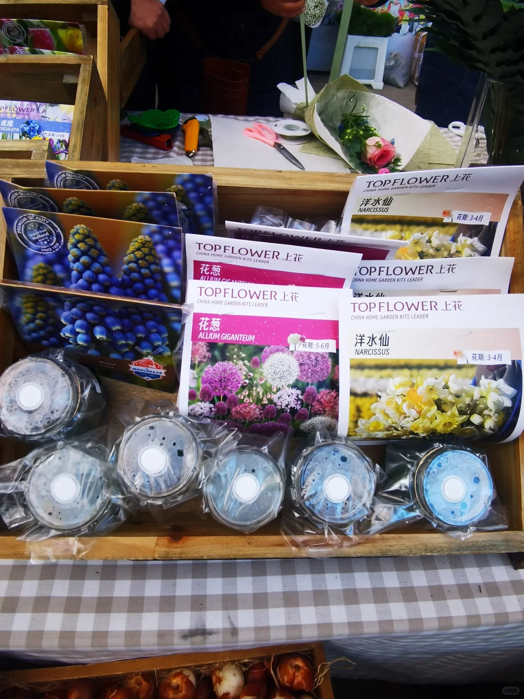 秋天与种球邂逅 期待Spring......