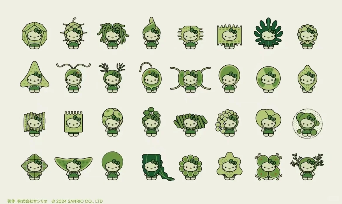 Hello Kitty最环保的一集???