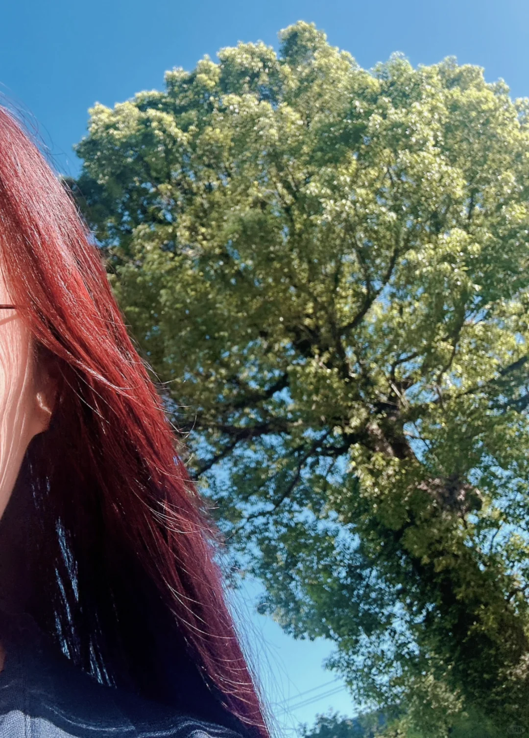 市场部打工人|逛展会的一天～