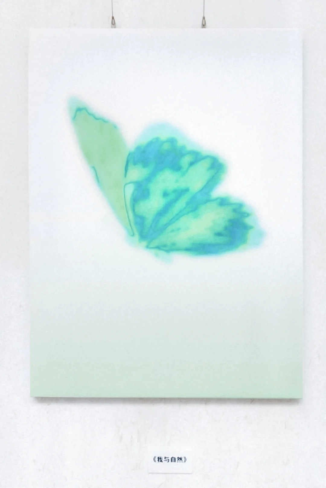 ?蝶戒之约?一场视觉与心灵的SPA！