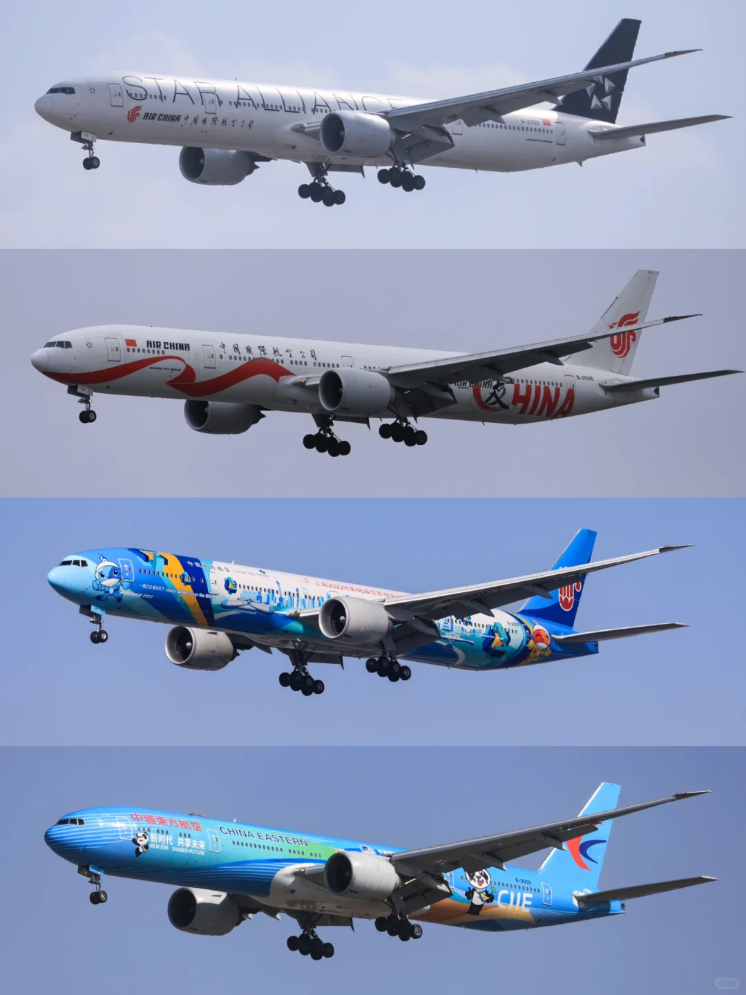 国内航司4架77W彩绘合辑