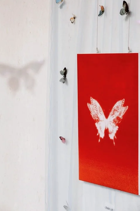 ?蝶戒之约?一场视觉与心灵的SPA！