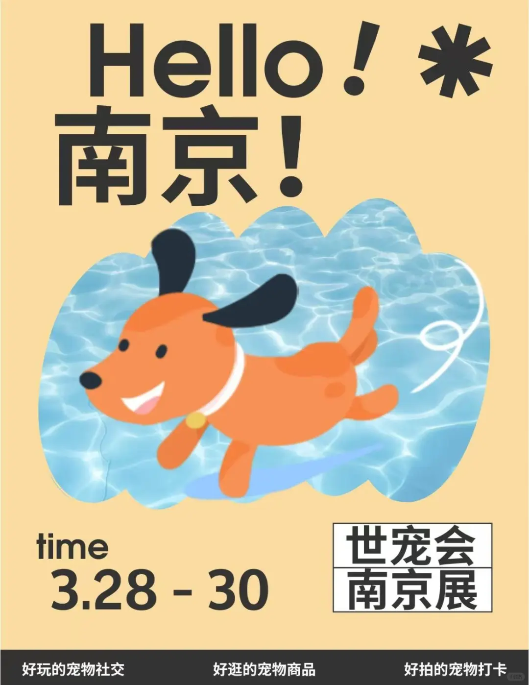 趣玩南京｜3月宝藏活动抢先看?