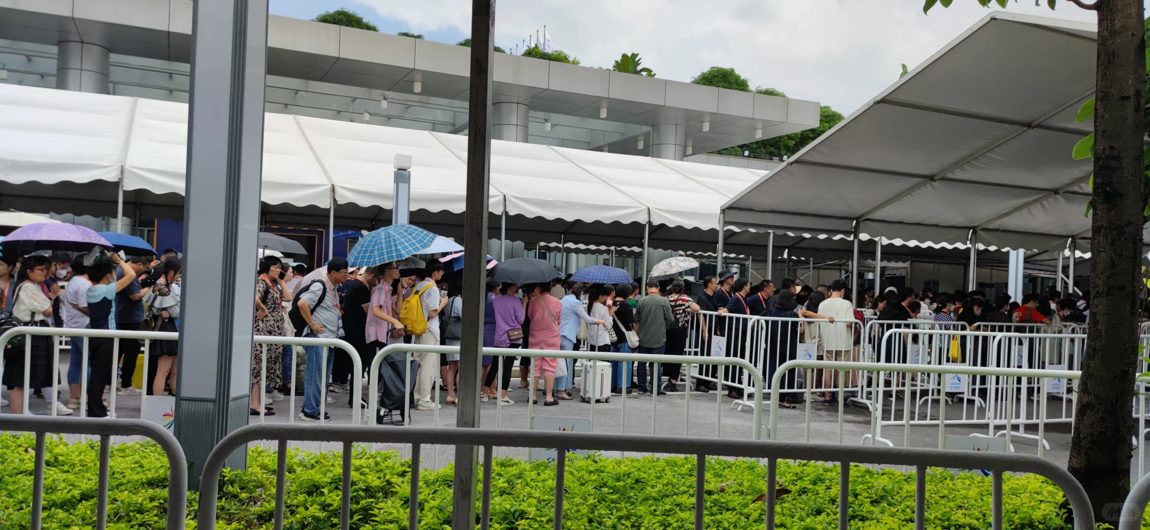 东盟博览会志愿者