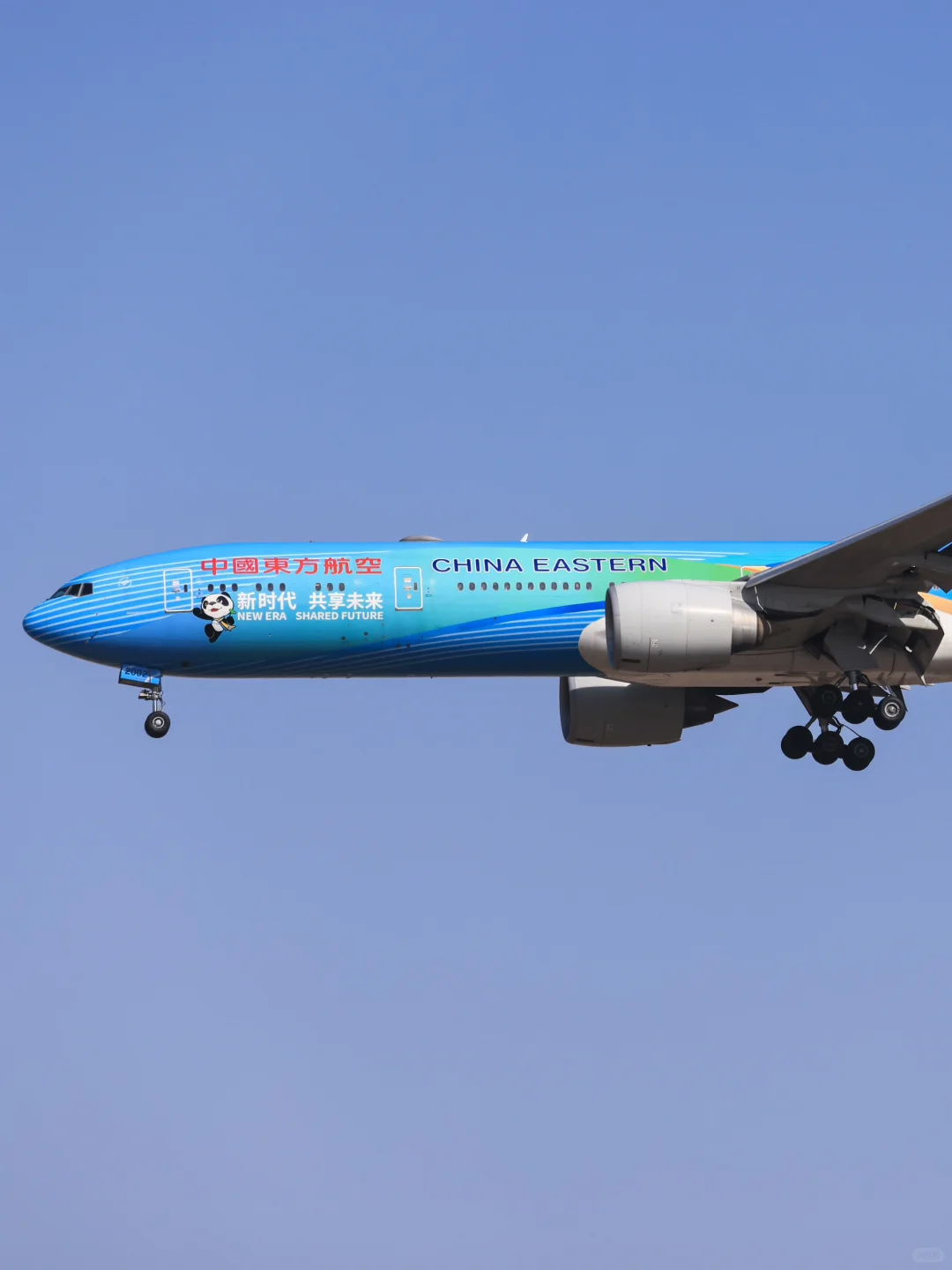 国内航司4架77W彩绘合辑