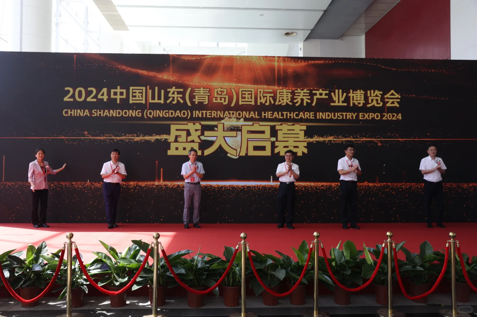 山东国际大健康产业博览会暨中医养生博览会