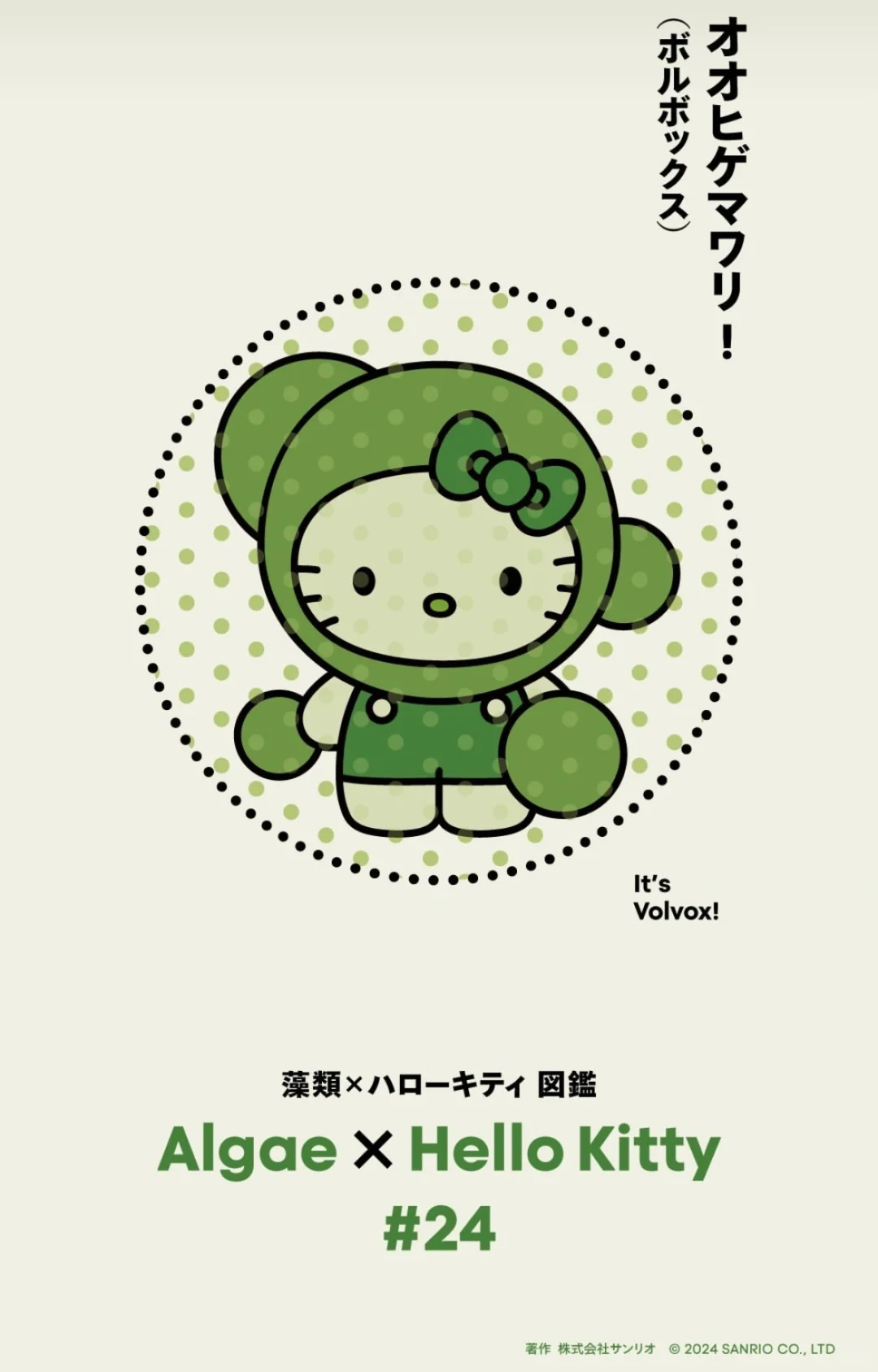 Hello Kitty最环保的一集???