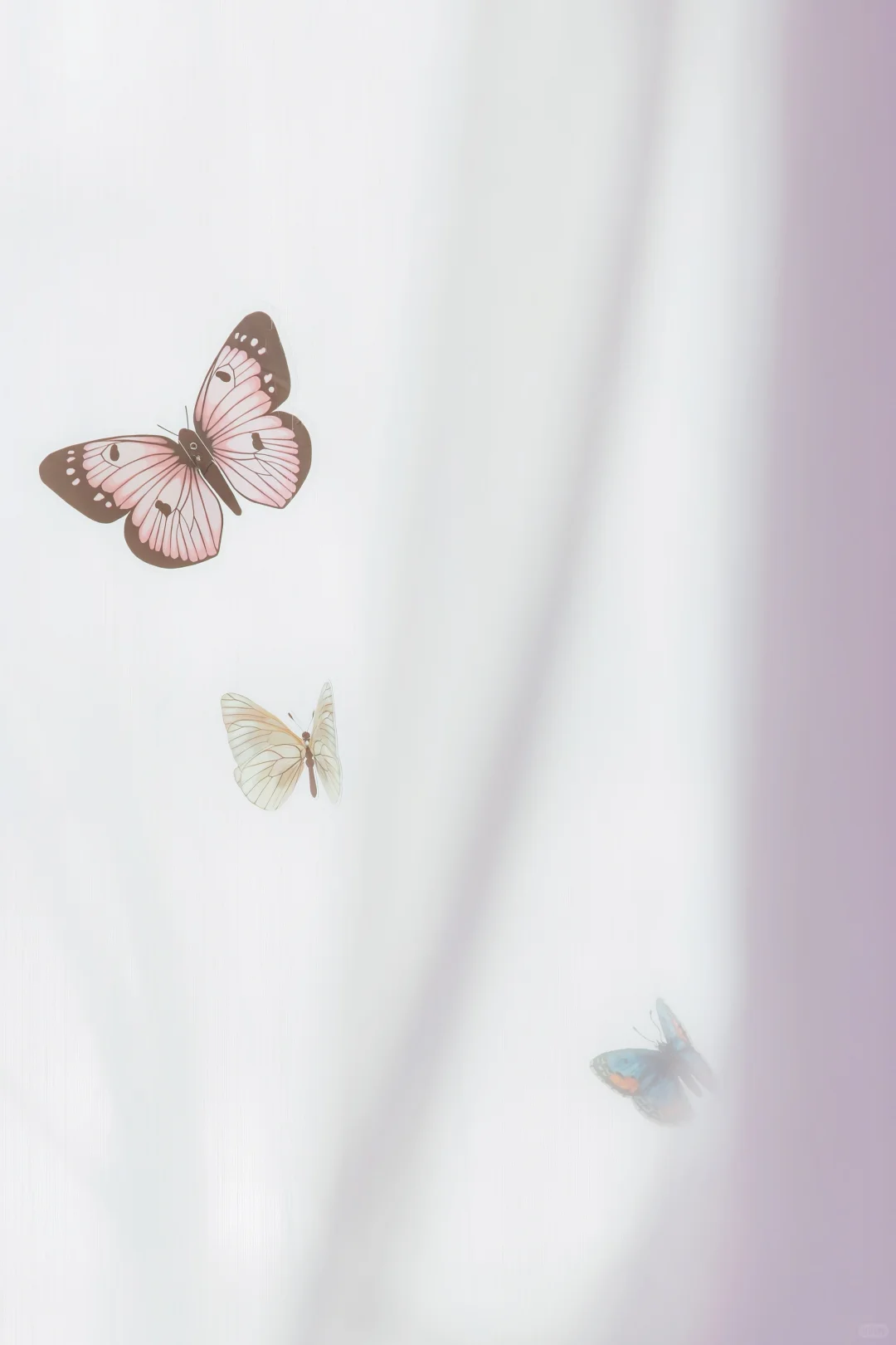 ?蝶戒之约?一场视觉与心灵的SPA！