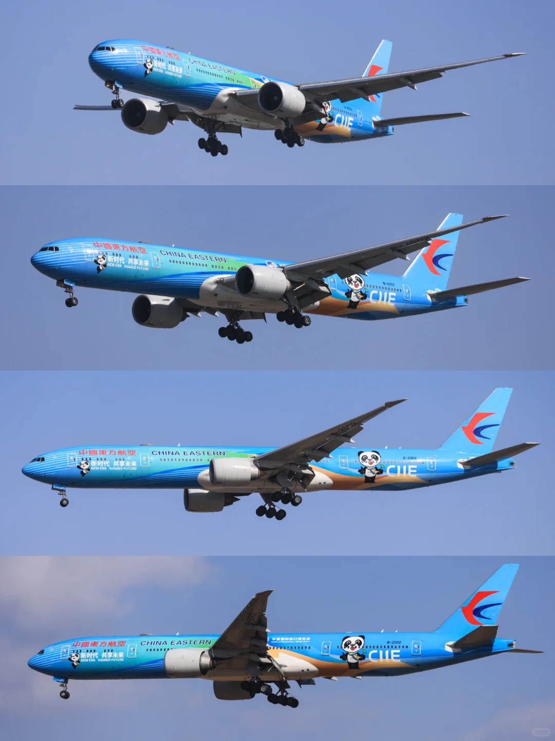 国内航司4架77W彩绘合辑