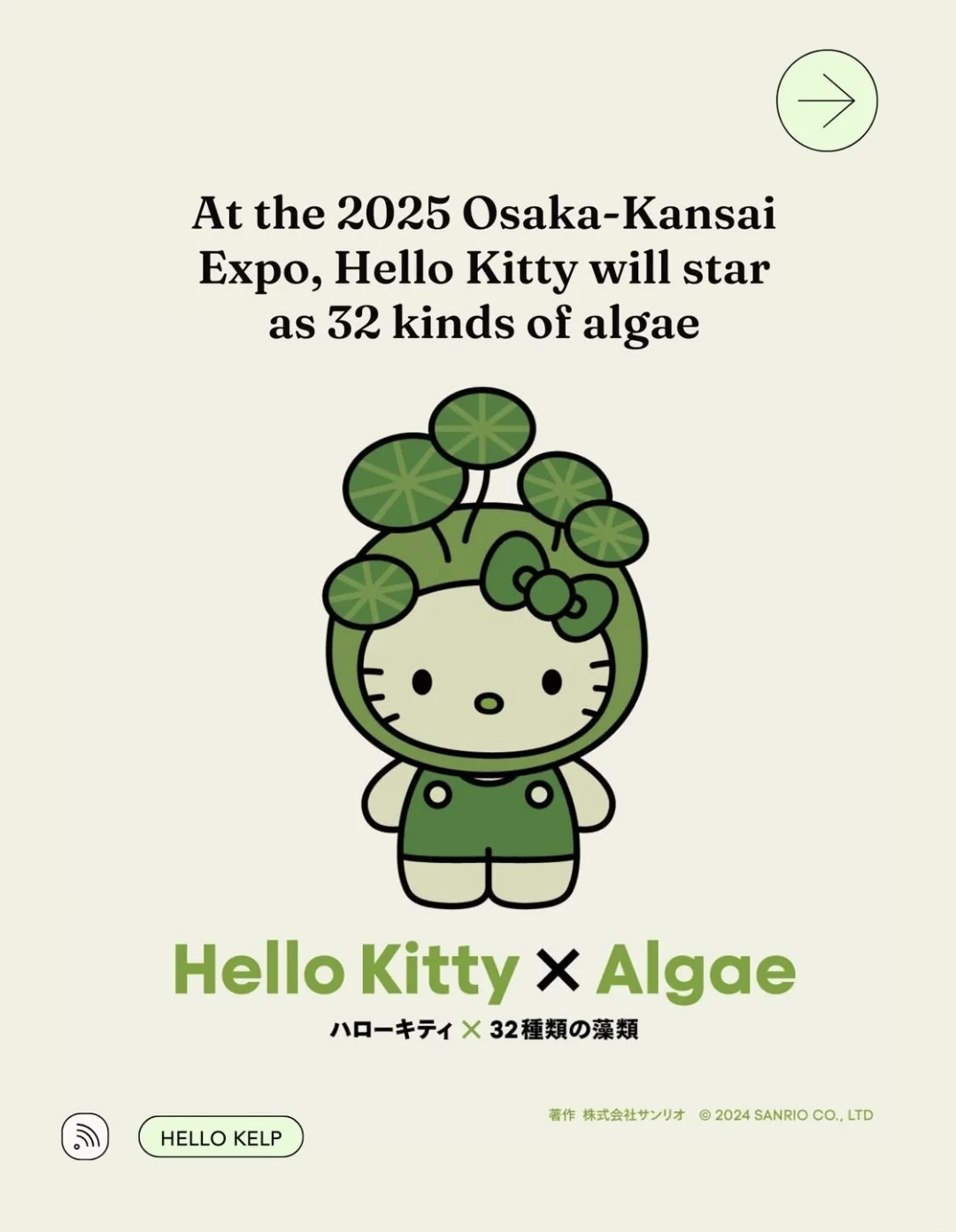 Hello Kitty最环保的一集???