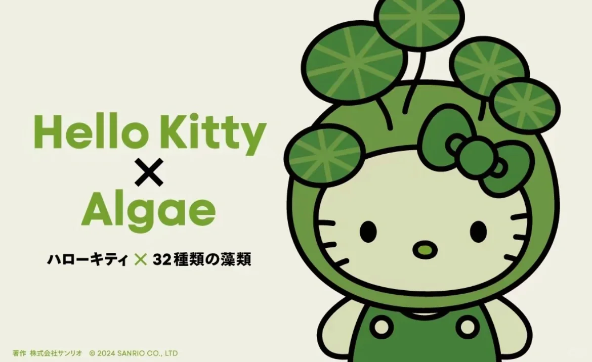 Hello Kitty最环保的一集???